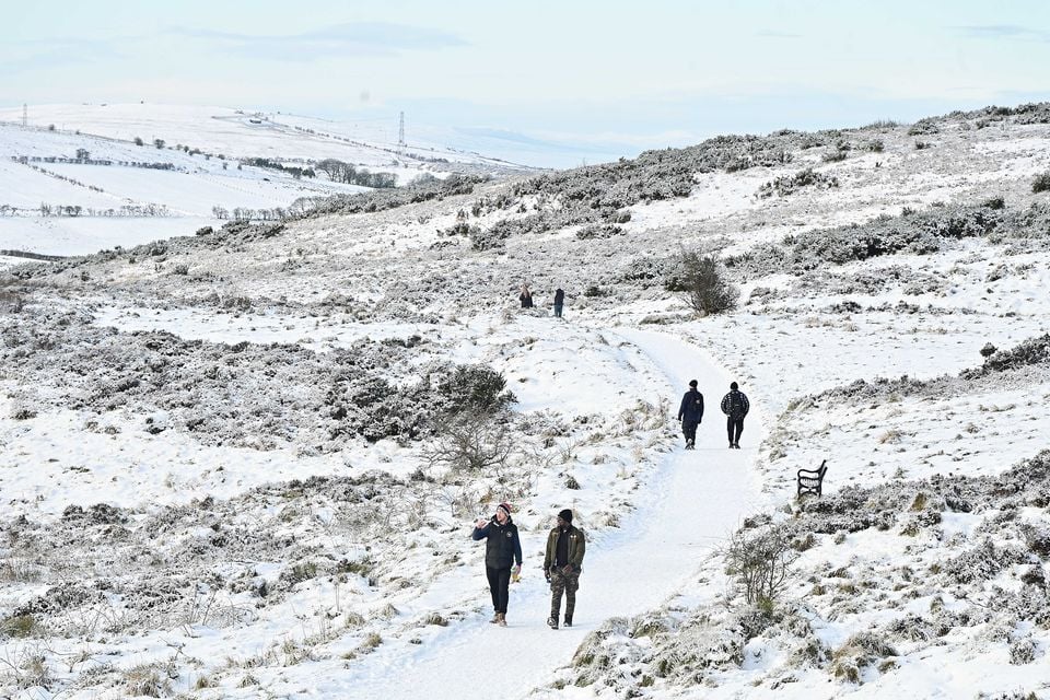 A snowy scene on Cavehill in Belfast. (Arthur Allison)